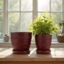 Nouvelle Scrolled Planter with Attached Saucer – Ruby Red – 5″